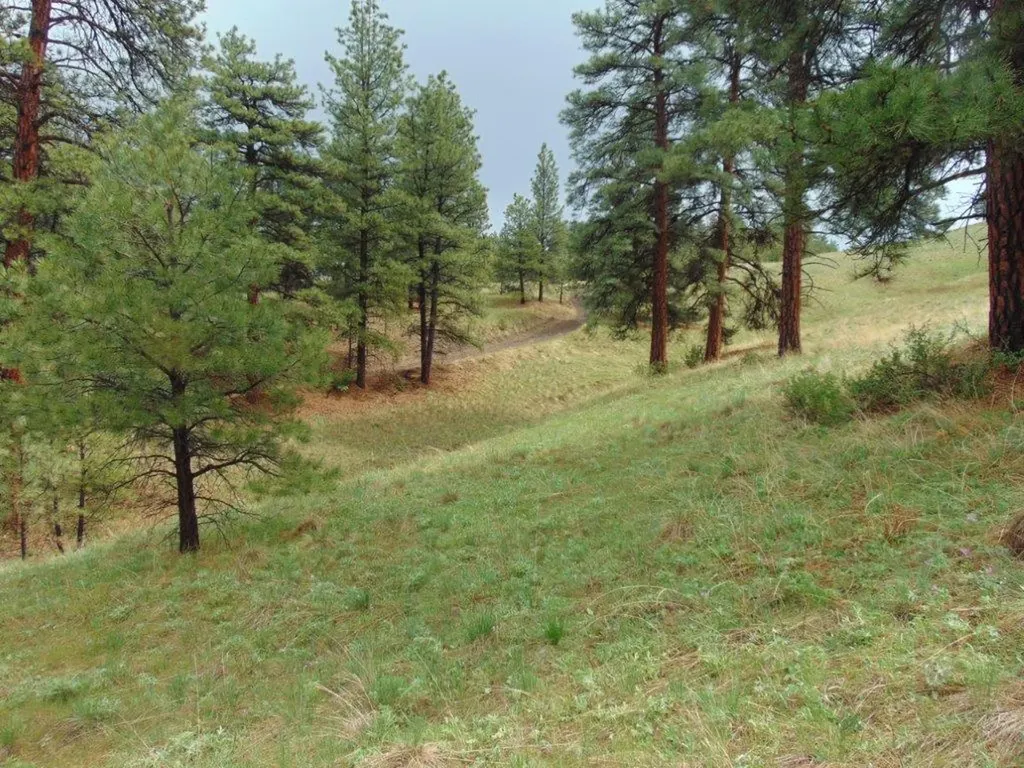 15 Shady Spring Lane Cascade MT 59421