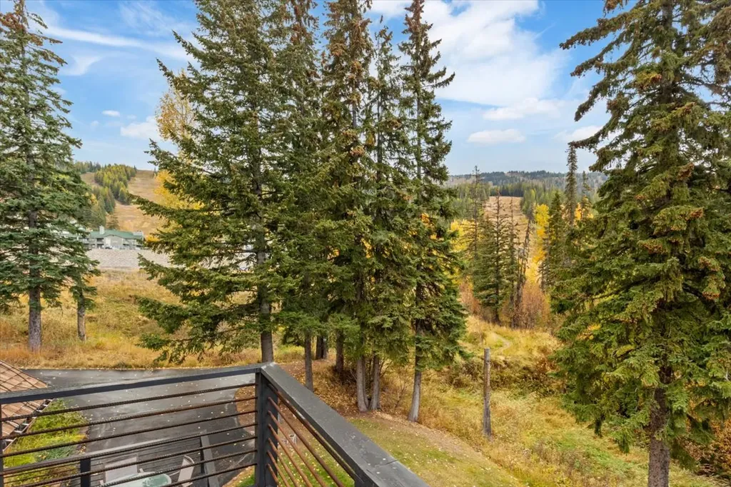 3835 Alpine Glow Avenue Whitefish MT 59937