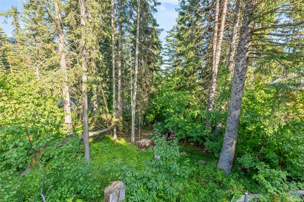 3835 Alpine Glow Avenue Whitefish MT 59937