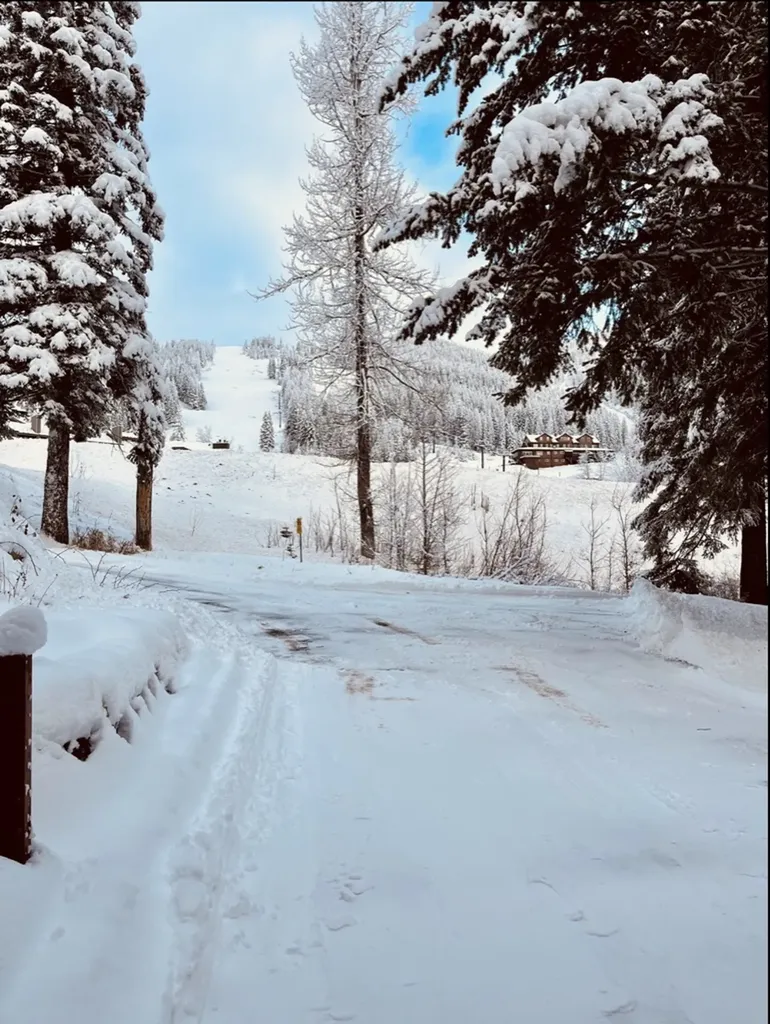 3835 Alpine Glow Avenue Whitefish MT 59937