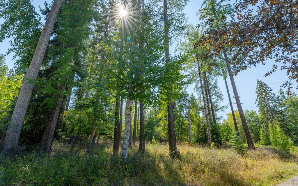 1000 Colorado Avenue Whitefish MT 59937
