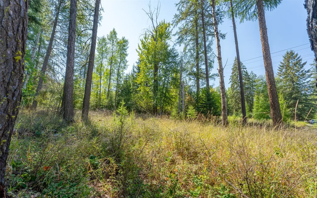 1000 Colorado Avenue Whitefish MT 59937