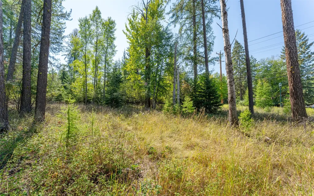 1000 Colorado Avenue Whitefish MT 59937