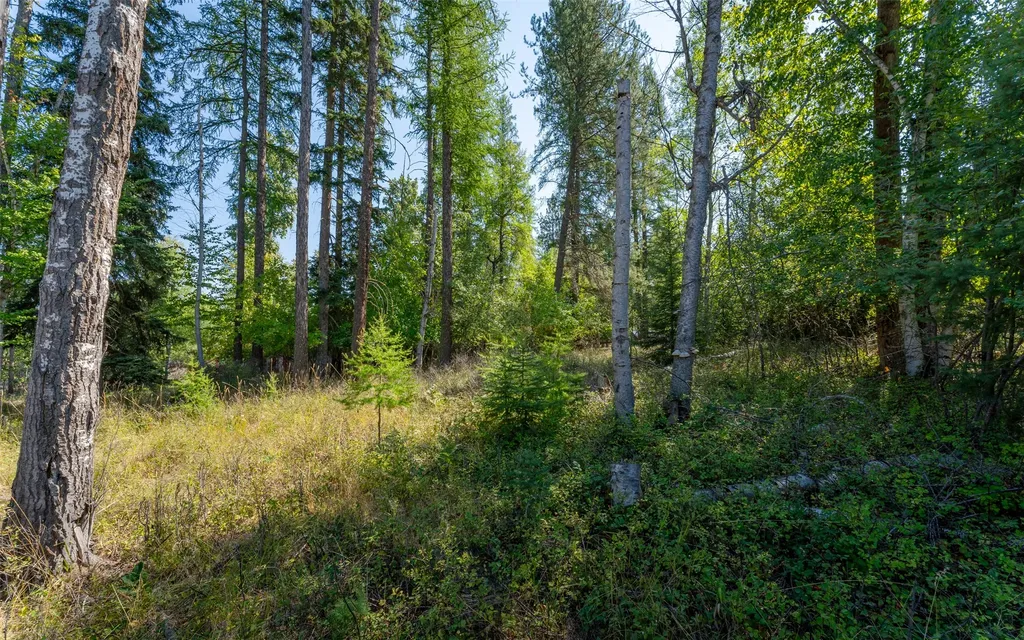 1000 Colorado Avenue Whitefish MT 59937