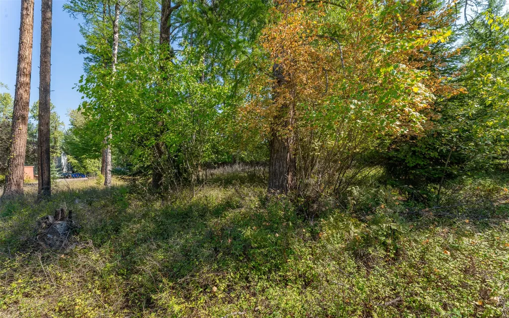 1000 Colorado Avenue Whitefish MT 59937