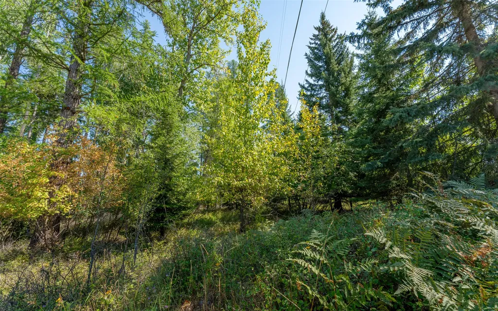 1000 Colorado Avenue Whitefish MT 59937
