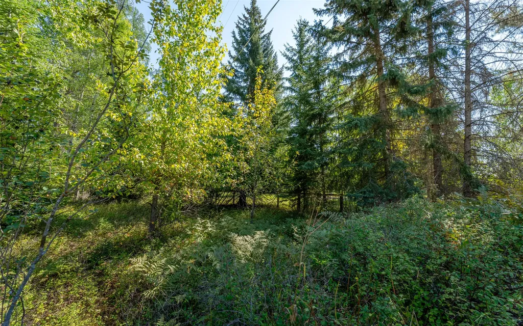 1000 Colorado Avenue Whitefish MT 59937