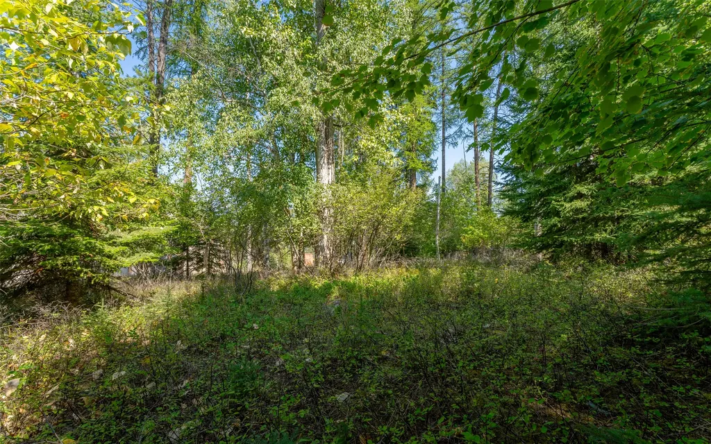 1000 Colorado Avenue Whitefish MT 59937