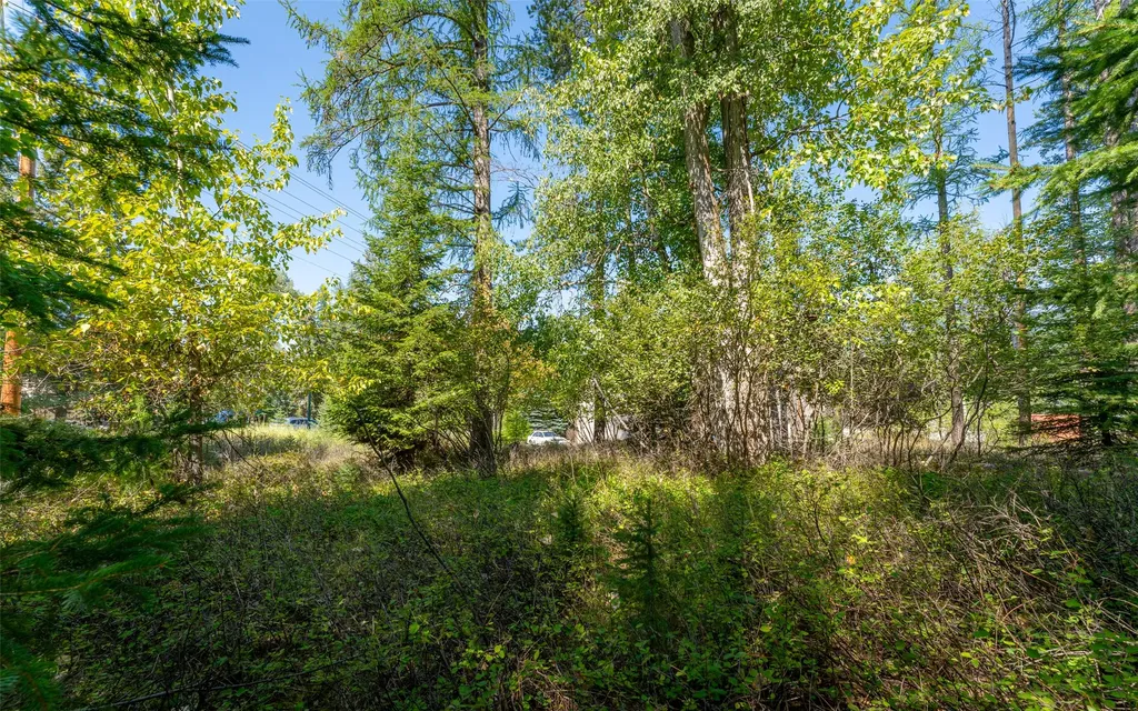 1000 Colorado Avenue Whitefish MT 59937
