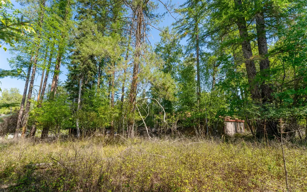 1000 Colorado Avenue Whitefish MT 59937