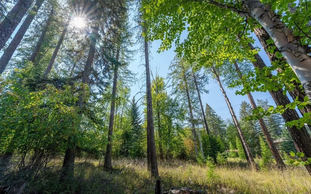 1000 Colorado Avenue Whitefish MT 59937