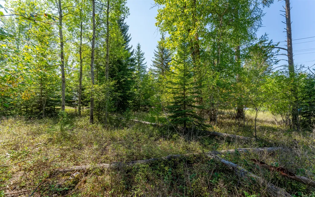 1000 Colorado Avenue Whitefish MT 59937