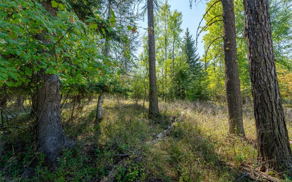 1000 Colorado Avenue Whitefish MT 59937