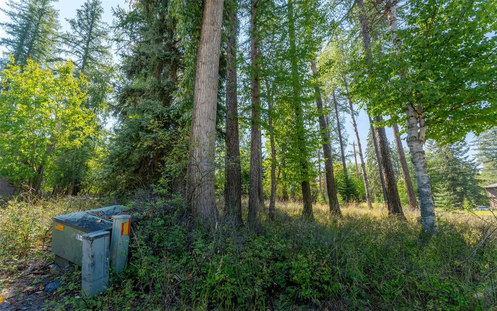 1000 Colorado Avenue Whitefish MT 59937