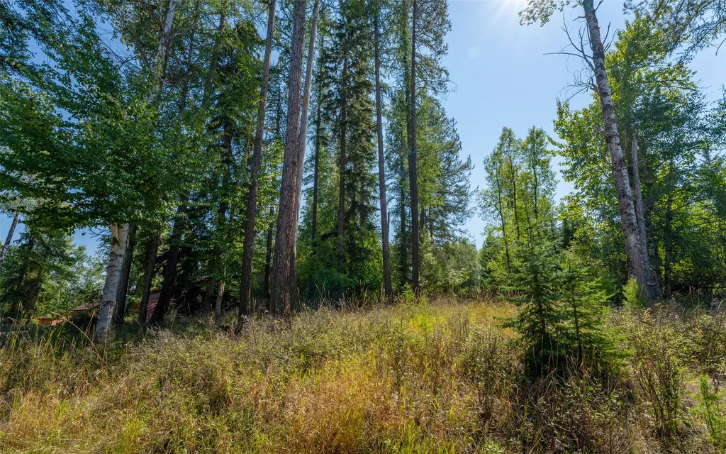 1000 Colorado Avenue Whitefish MT 59937
