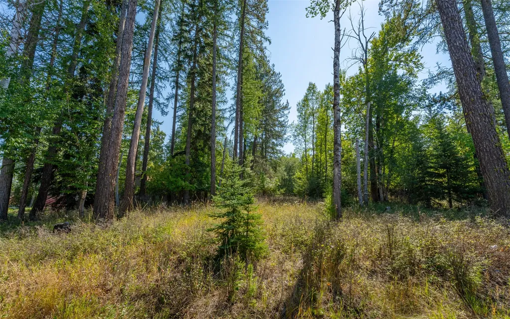 1000 Colorado Avenue Whitefish MT 59937