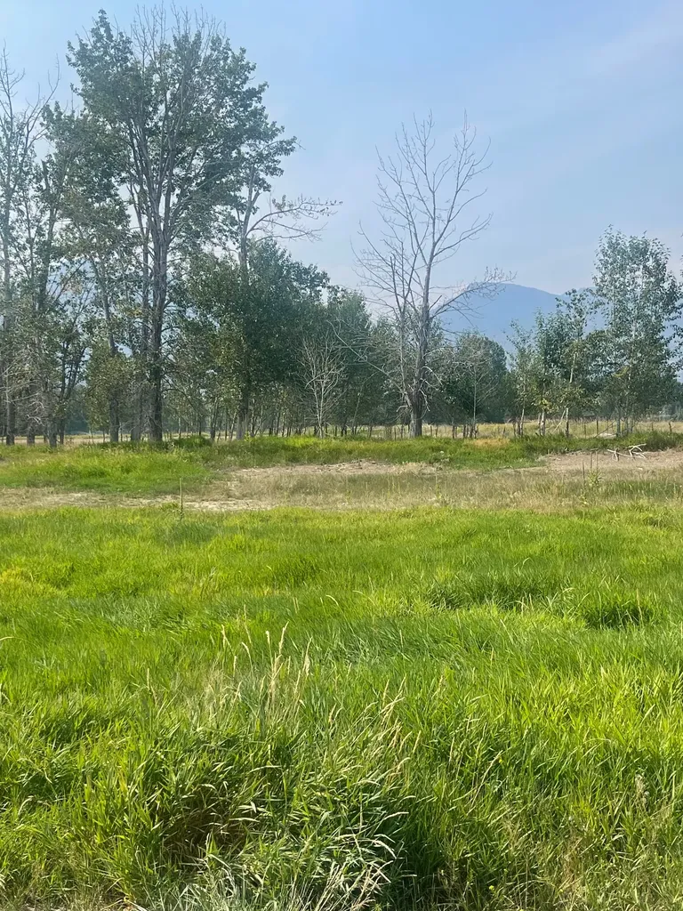 659 Old Corvallis Road Hamilton MT 59840
