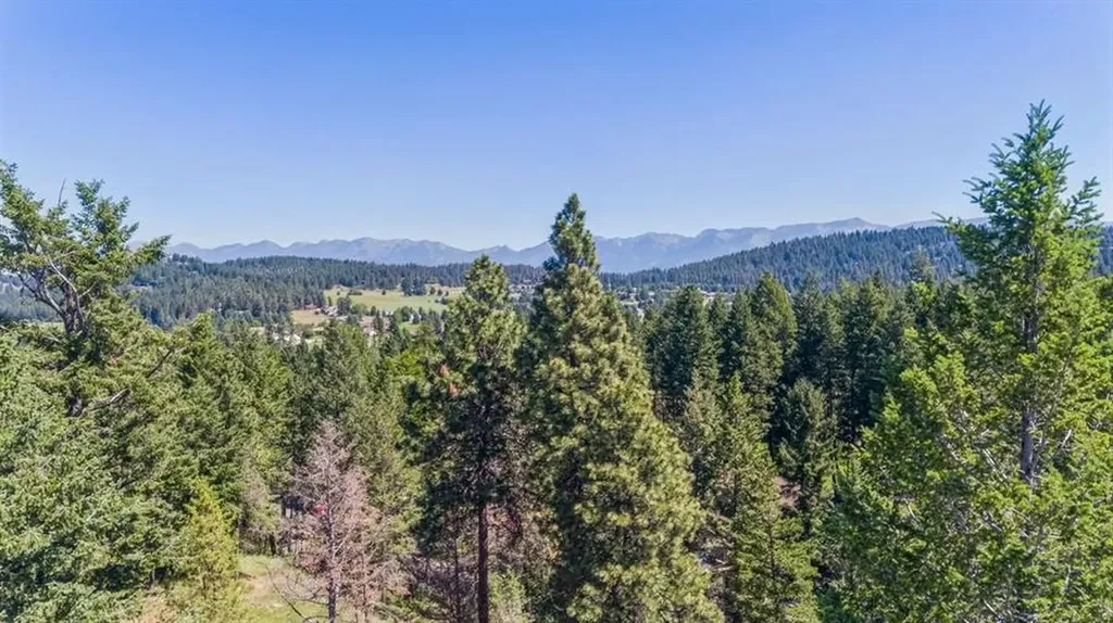 151 Bjork Drive Bigfork MT 59911