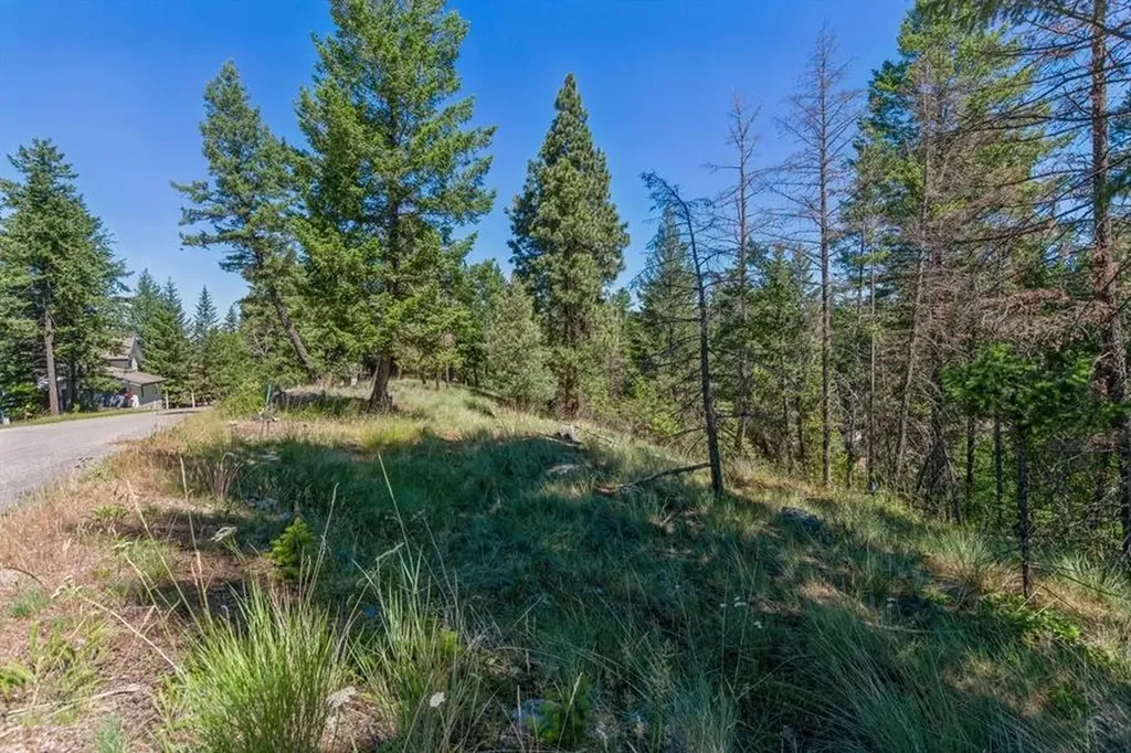 151 Bjork Drive Bigfork MT 59911