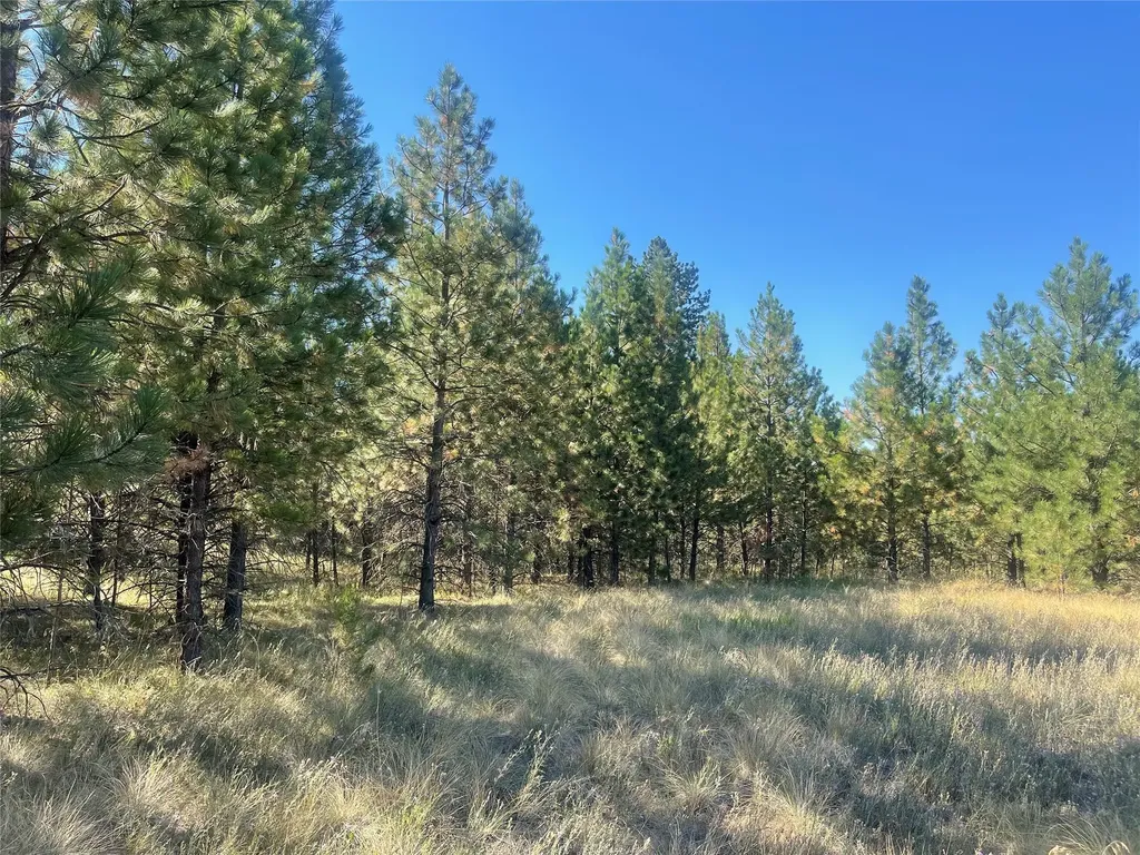 Lot 55 Jette Meadow Road Polson MT 59860