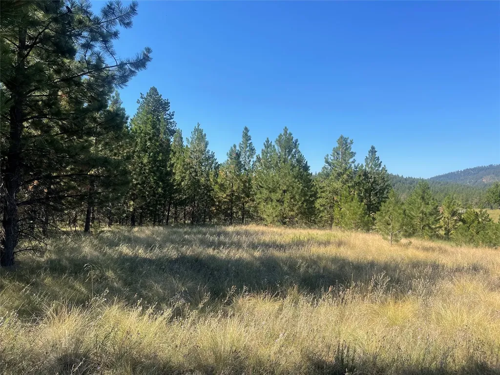 Lot 55 Jette Meadow Road Polson MT 59860