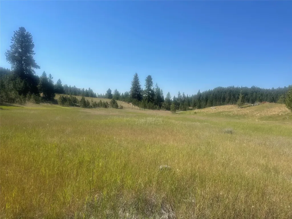 Lot 55 Jette Meadow Road Polson MT 59860