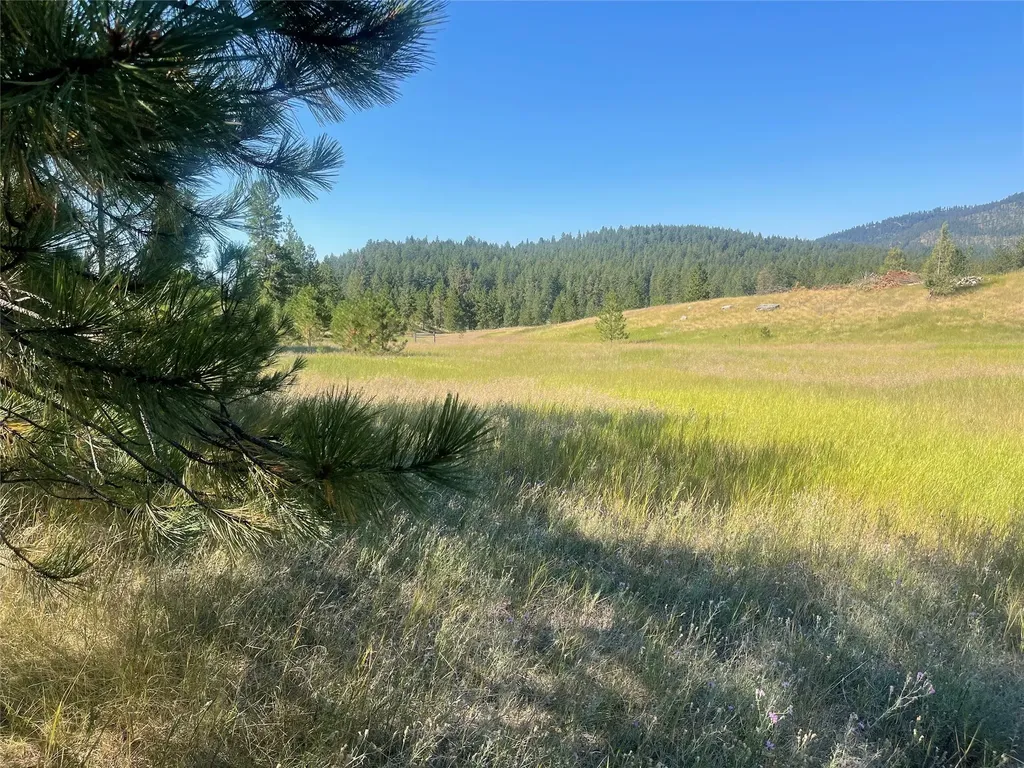 Lot 55 Jette Meadow Road Polson MT 59860