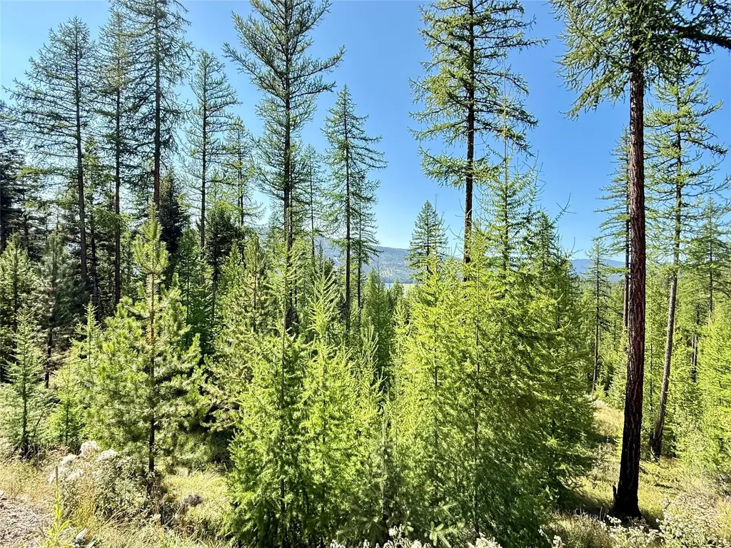 240 Hodge Creek Drive Kila MT 59920
