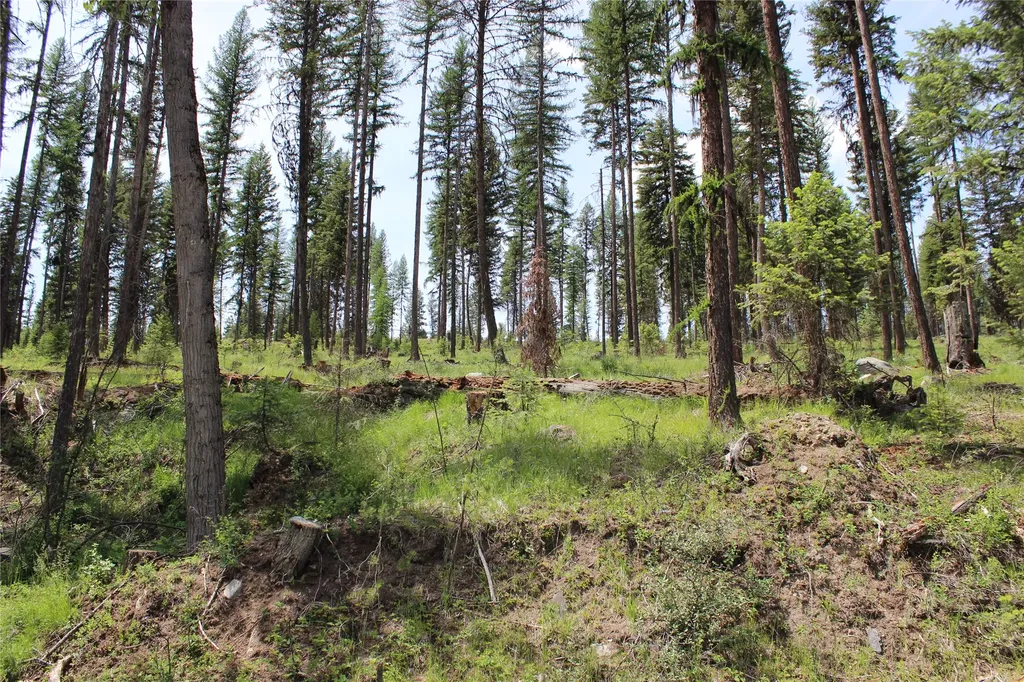 Commonly Known As Tract 2 Old Railroad Grade Road Libby MT 59923