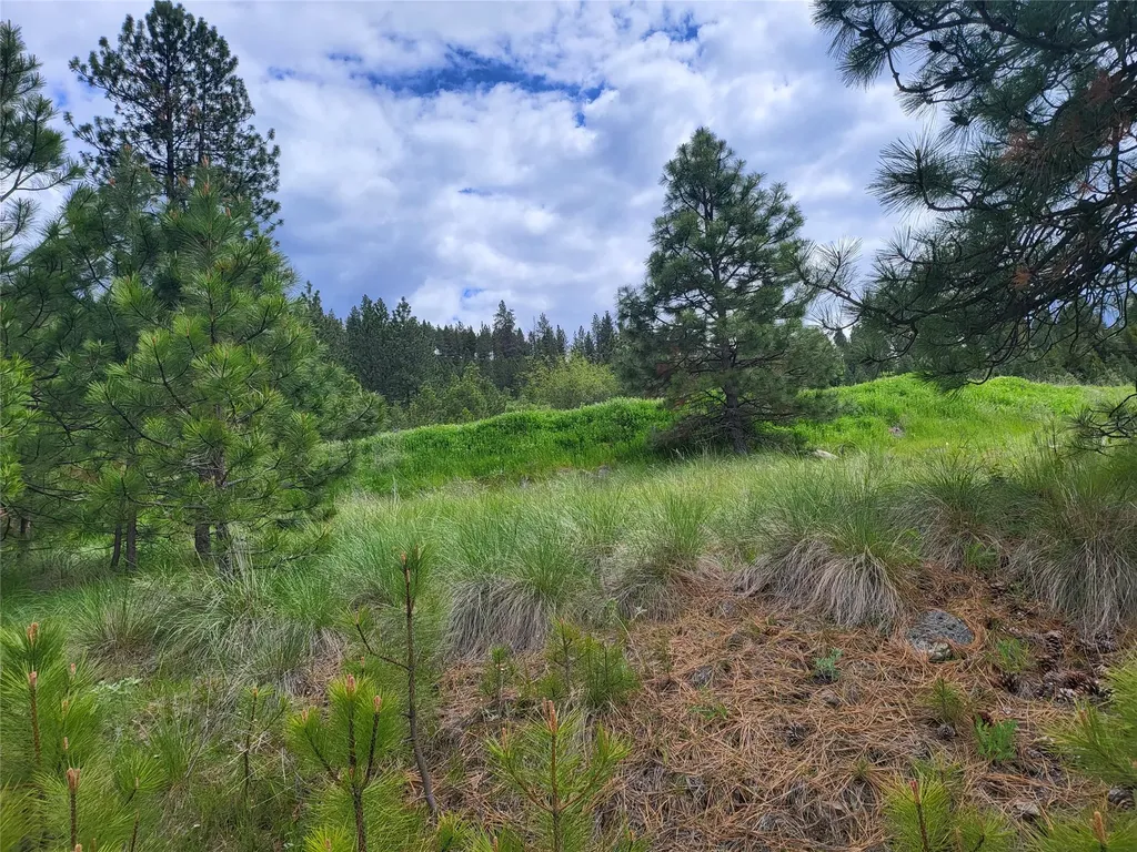 Lot 5 Yosyrian Lane Plains MT 59859