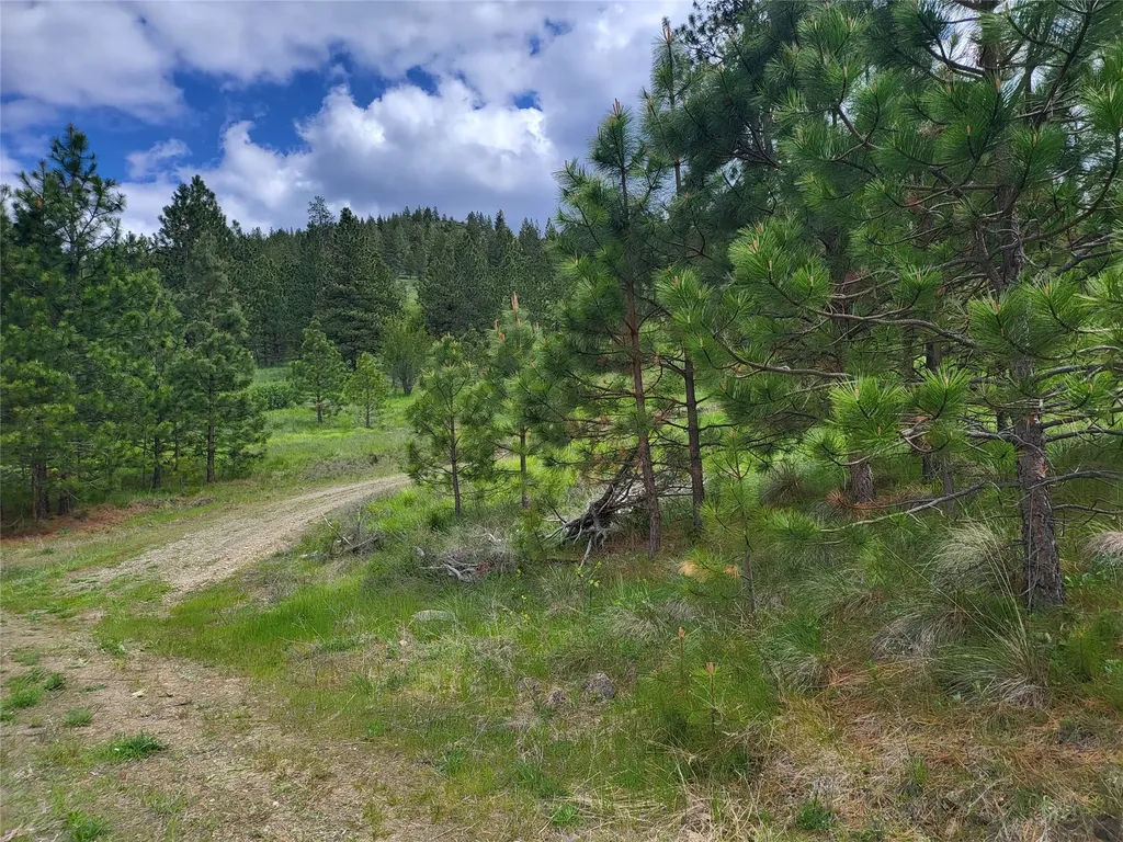 Lot 5 Yosyrian Lane Plains MT 59859