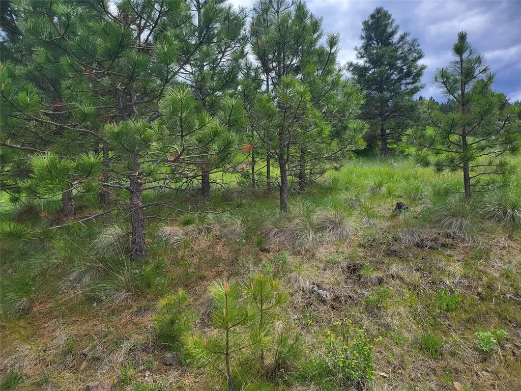 Lot 5 Yosyrian Lane Plains MT 59859