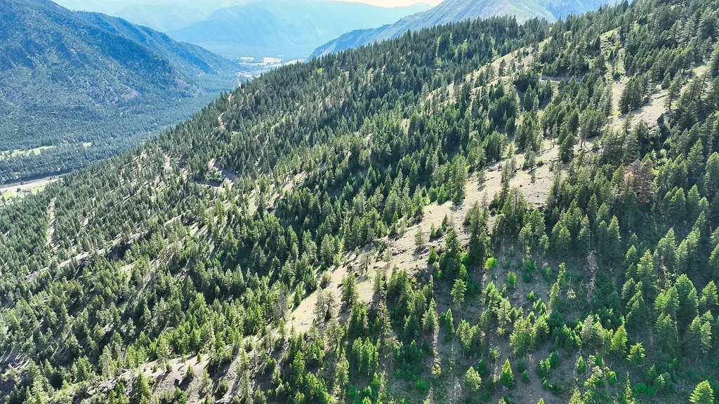 Nhn Switchback Ranch Alberton MT 59820