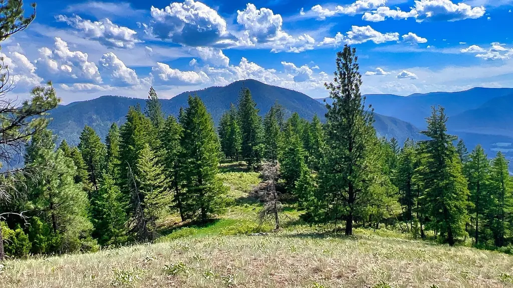 Nhn Switchback Ranch Alberton MT 59820