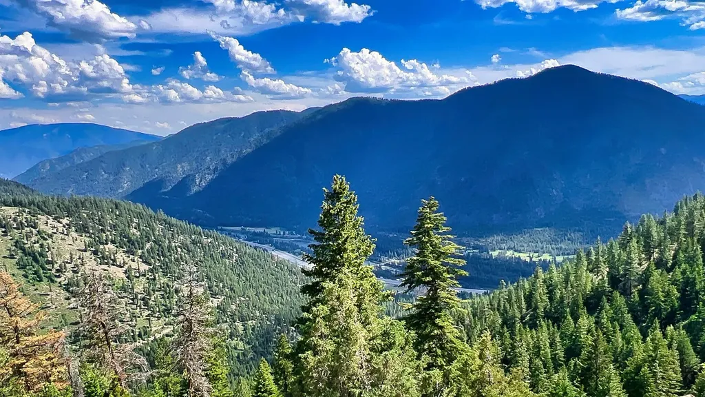 Nhn Switchback Ranch Alberton MT 59820