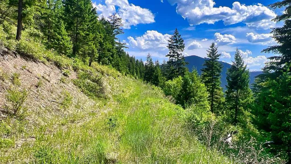Nhn Switchback Ranch Alberton MT 59820
