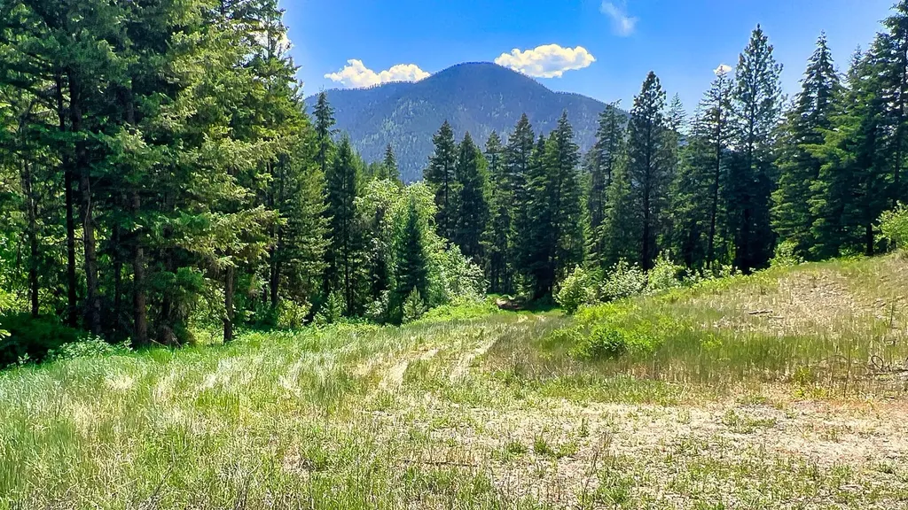 Nhn Switchback Ranch Alberton MT 59820