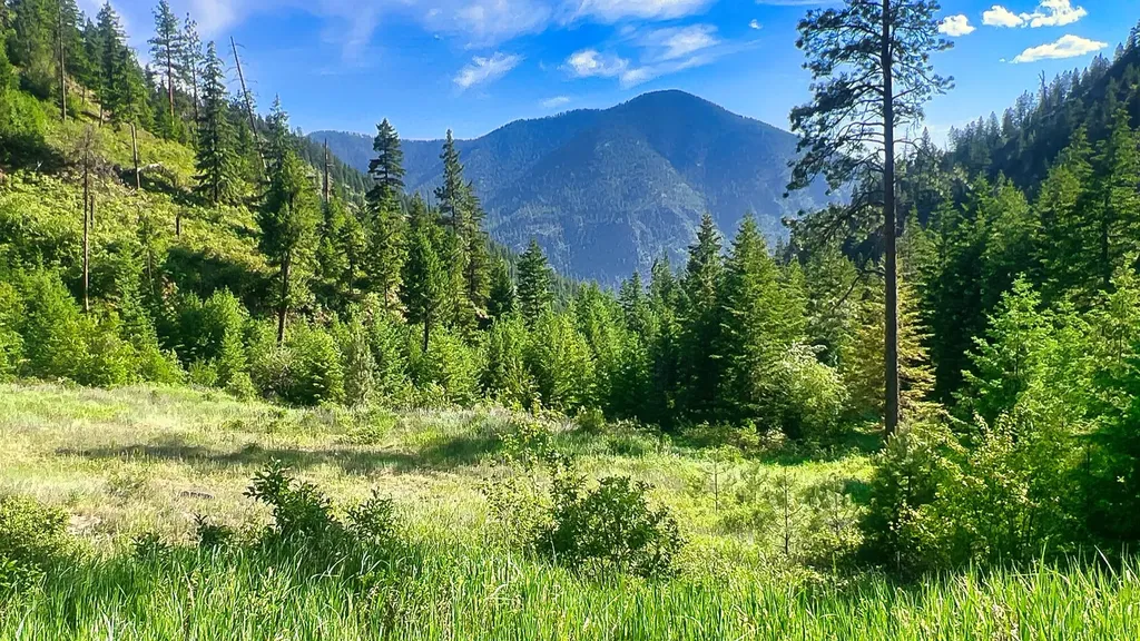 Nhn Switchback Ranch Alberton MT 59820
