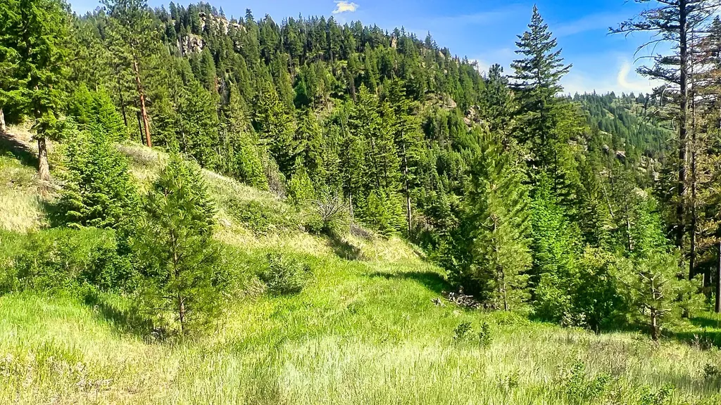 Nhn Switchback Ranch Alberton MT 59820
