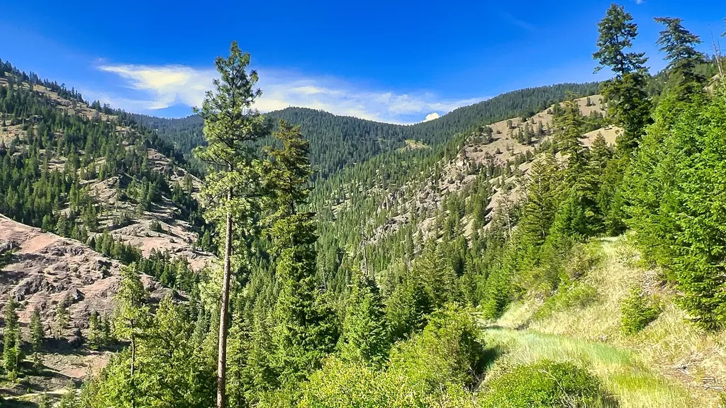 Nhn Switchback Ranch Alberton MT 59820