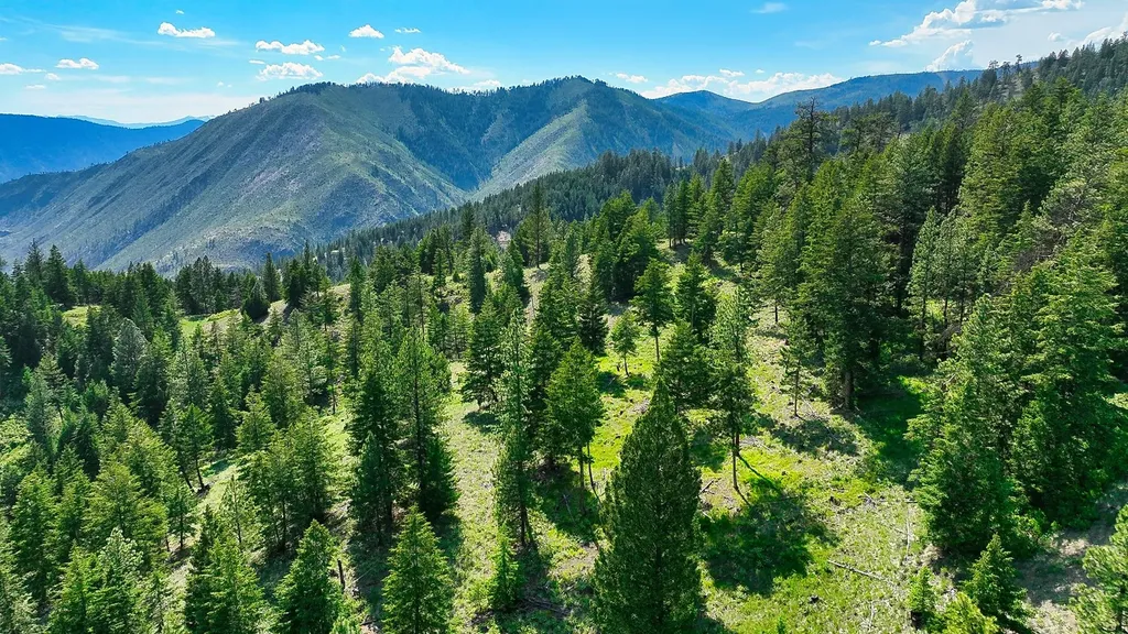 Nhn Switchback Ranch Alberton MT 59820