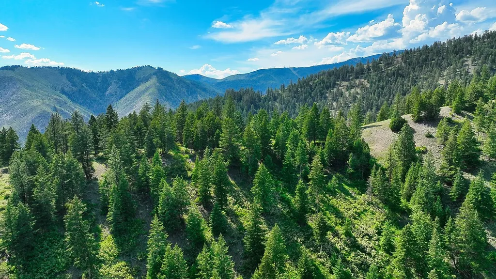 Nhn Switchback Ranch Alberton MT 59820