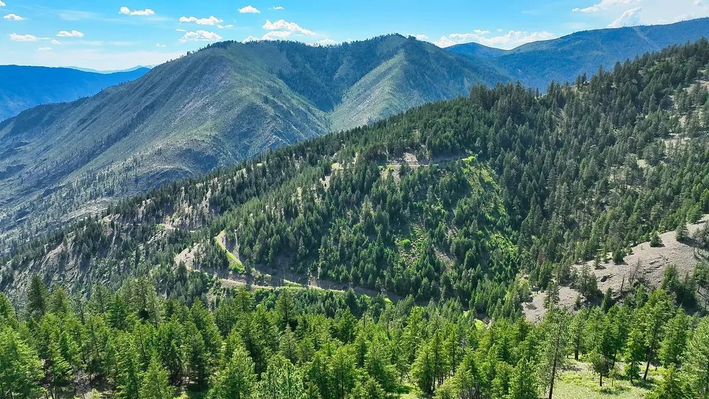 Nhn Switchback Ranch Alberton MT 59820