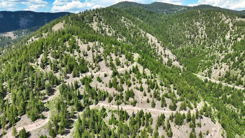 Nhn Switchback Ranch Alberton MT 59820
