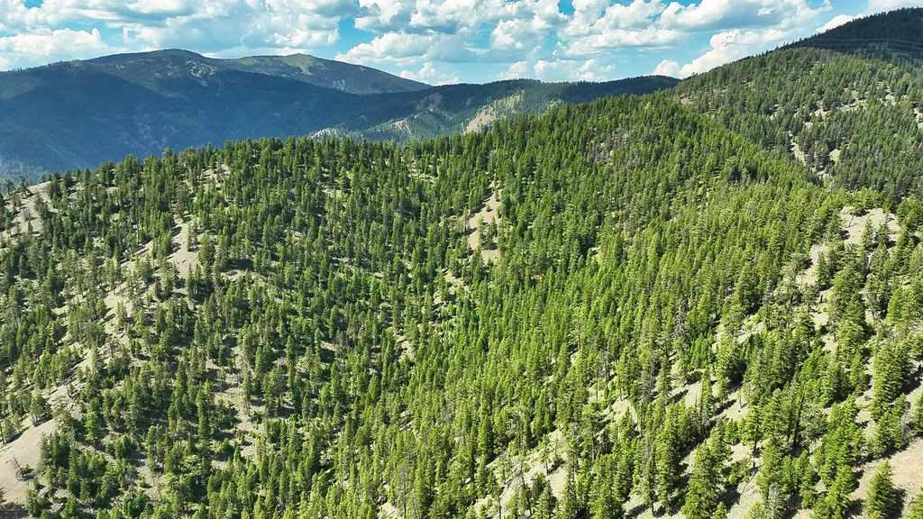 Nhn Switchback Ranch Alberton MT 59820