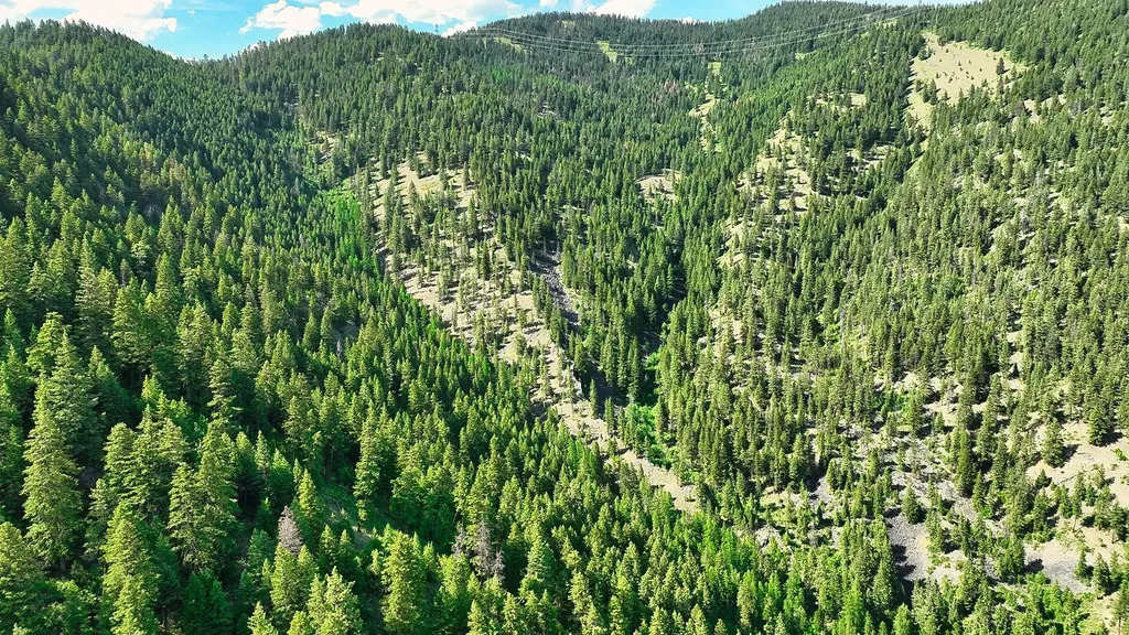 Nhn Switchback Ranch Alberton MT 59820