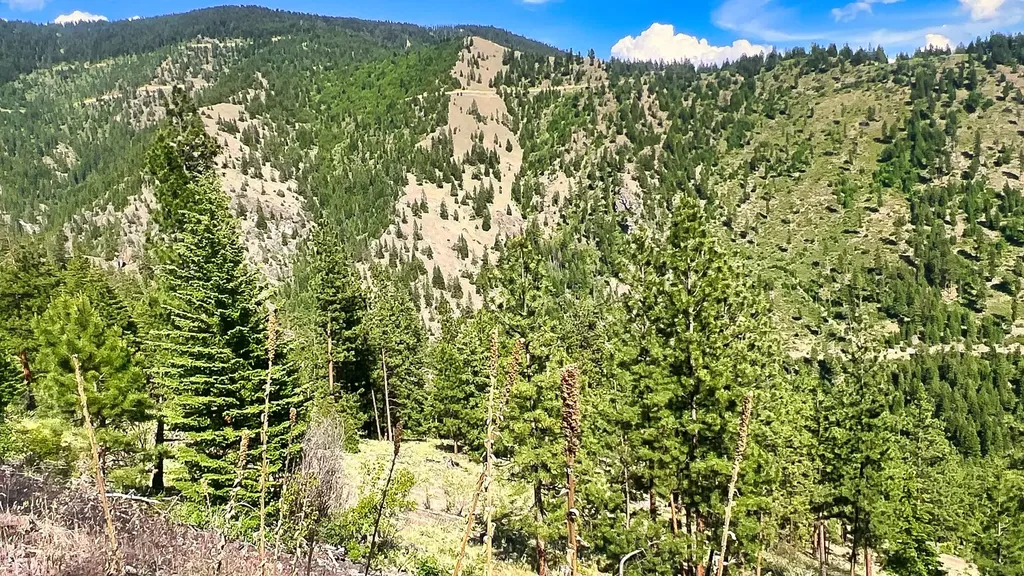 Nhn Switchback Ranch Alberton MT 59820