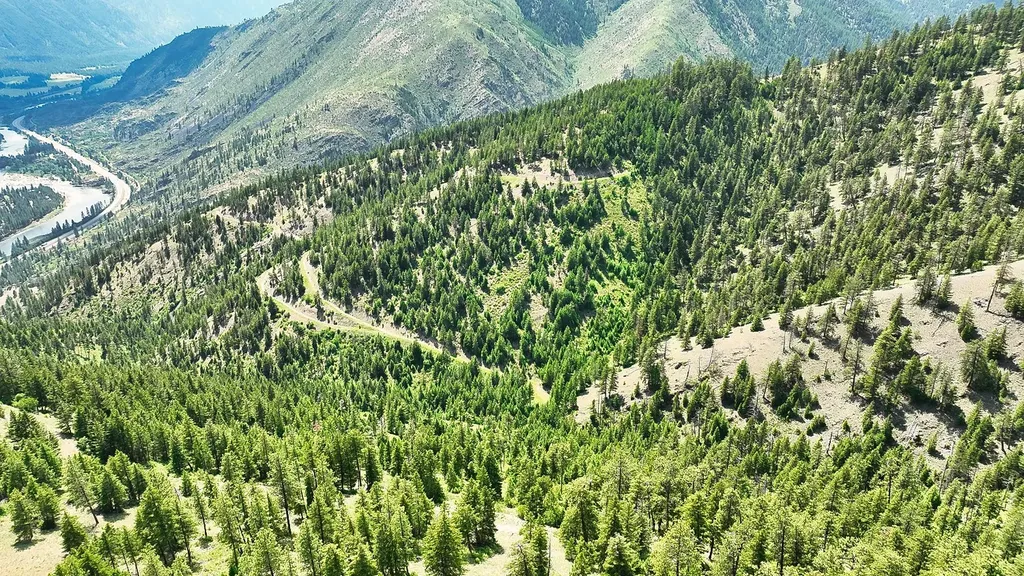 Nhn Switchback Ranch Alberton MT 59820