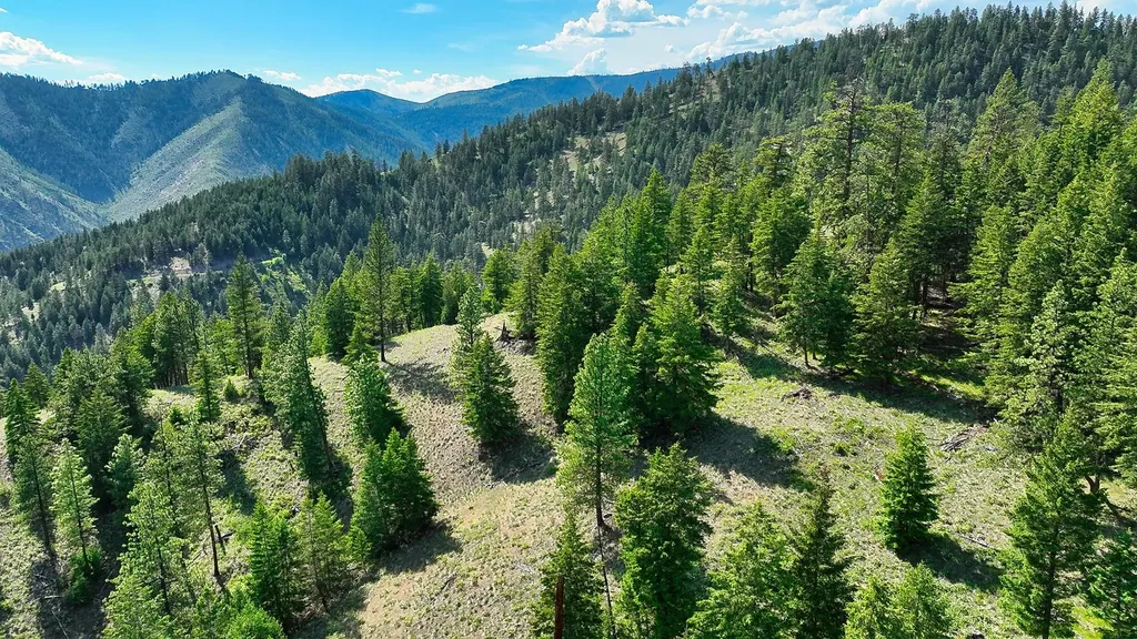 Nhn Switchback Ranch Alberton MT 59820