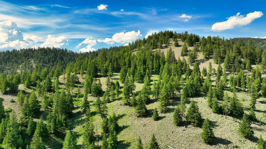 Nhn Switchback Ranch Alberton MT 59820